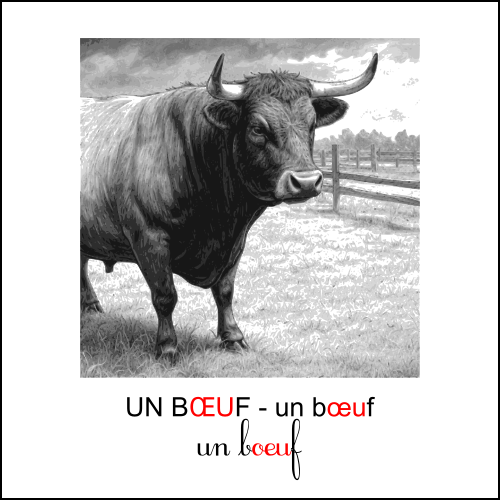 mot repère
